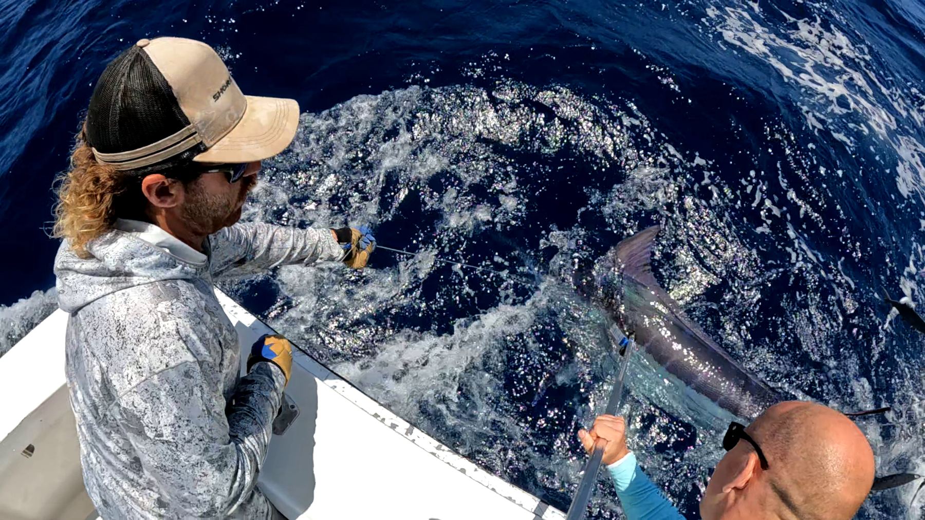 Barrett Wolfe, right, and a deckhand bring a marlin alongside the boat for release
