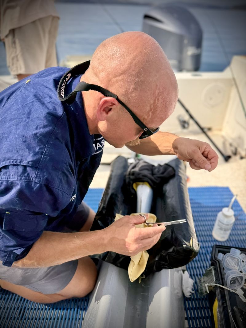 Barrett Wolfe implanting an acoustic tag in a fish on a padded cradle aboard a boat